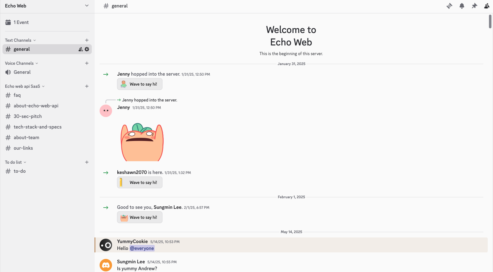 Echo Web team working together